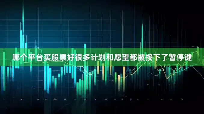 哪个平台买股票好很多计划和愿望都被按下了暂停键
