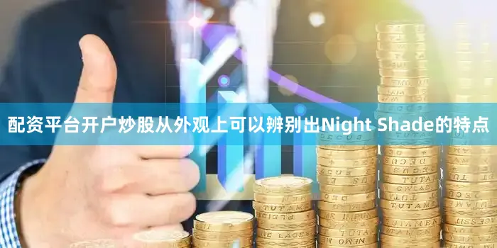 配资平台开户炒股从外观上可以辨别出Night Shade的特点