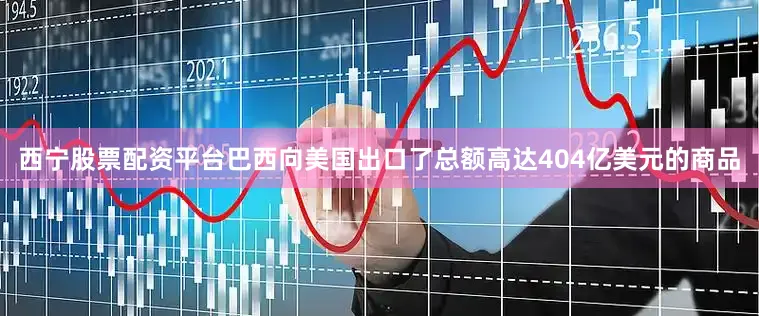 西宁股票配资平台巴西向美国出口了总额高达404亿美元的商品