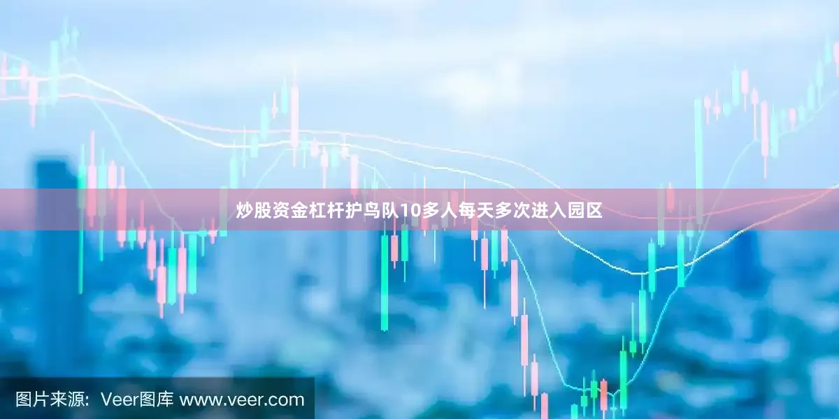 炒股资金杠杆护鸟队10多人每天多次进入园区