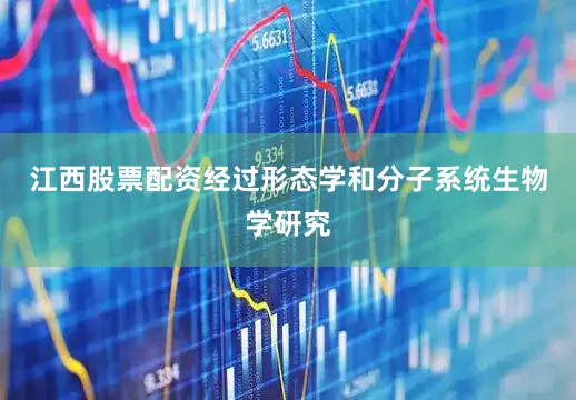 江西股票配资经过形态学和分子系统生物学研究